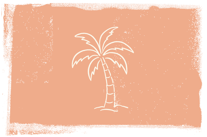 Explore Exploring and outdoor adventure on Fort Myers Beach